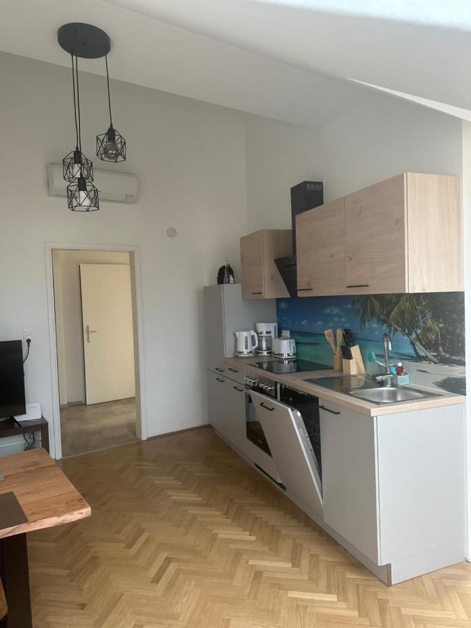 Klimatisiertes Dachgeschoss City Apartment In Zentrum Wiens 외부 사진